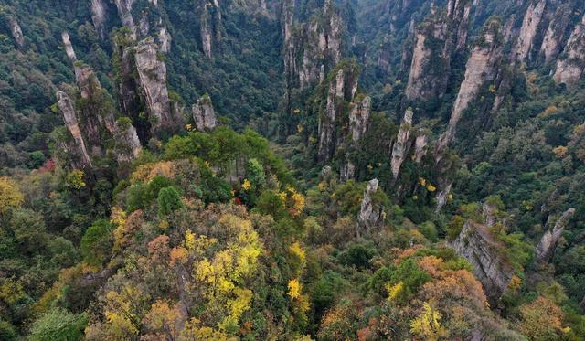 #（环境）湖南张家界：峰林色彩斑斓景色美